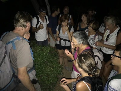 Sortie &agrave; la pleine lune &agrave; la Londe les Maures