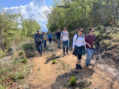 Randonn&eacute;e en for&ecirc;t de Comps sur Artuby