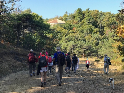 Un automne aux couleurs de la Sainte Baume