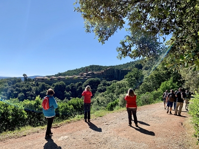 Balade Naturaliste en for&ecirc;t de la Verne