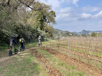 Nouvelle session de trot' &eacute;lec sur Hy&egrave;res - Carqueiranne