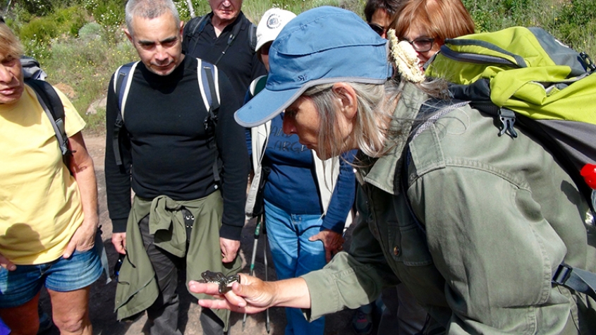 Sorties nature dans le Var
