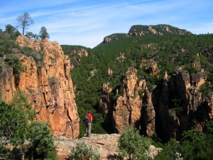 Rando Bagnols-en-For&ecirc;t