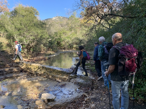 Randonn&eacute;e naturaliste &agrave; la Roquebrussanne