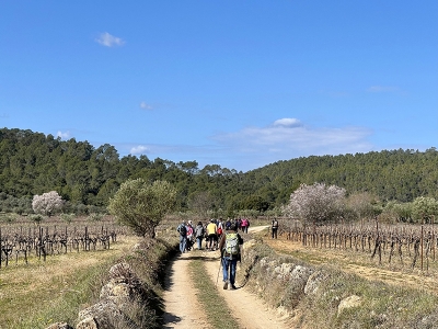Randonn&eacute;e en Provence Verte autour de Correns