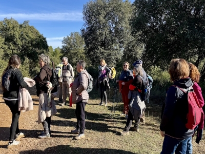 Rando en Coeur du Var au Thoronet
