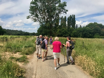 Plantes comestibles de nos for&ecirc;ts - Flassans