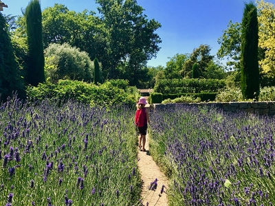 Art et terroir &agrave; Peyrassol - Flassans