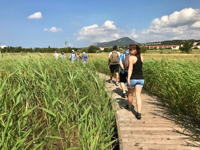 D&eacute;couverte du Parc Nature du Plan