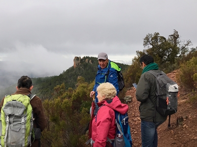 Randonn&eacute;e sur les collines de Bagnols en For&ecirc;t
